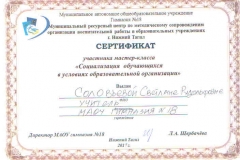 Удостоверение участника мастер-класса. 2017